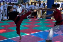 IMG-20260614-WA0023
