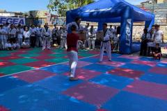 IMG-20260614-WA0029